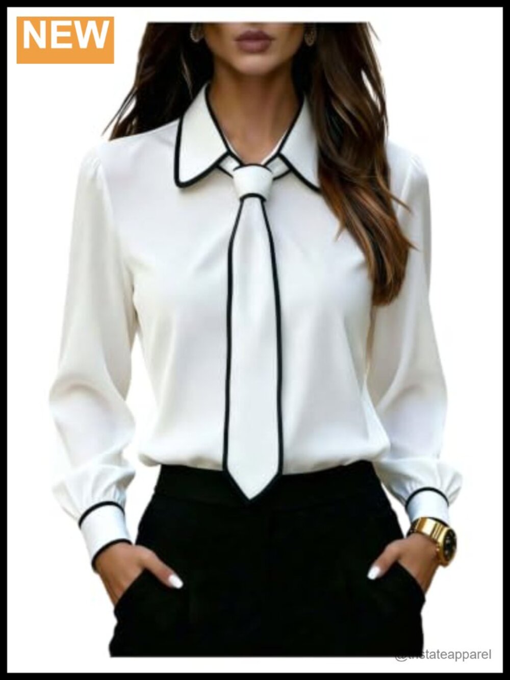Dressy Business Casual Button Up Blouse with Tie Long Sleeve Collared Shirt